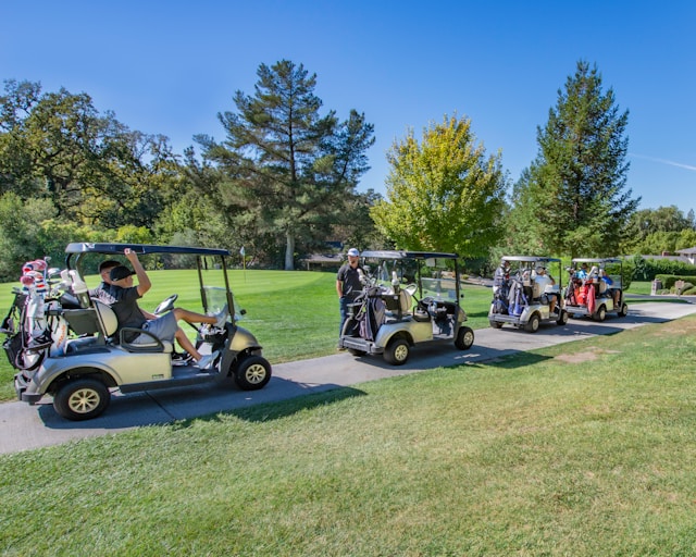 8V Golf Cart Batteries