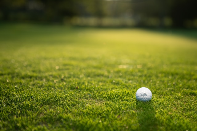 Step-by-Step Guide to Testing Golf Cart Batteries