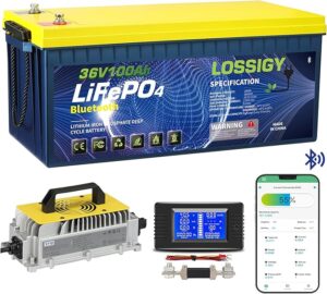LOSSIGY 36V Lithium Golf Cart Battery